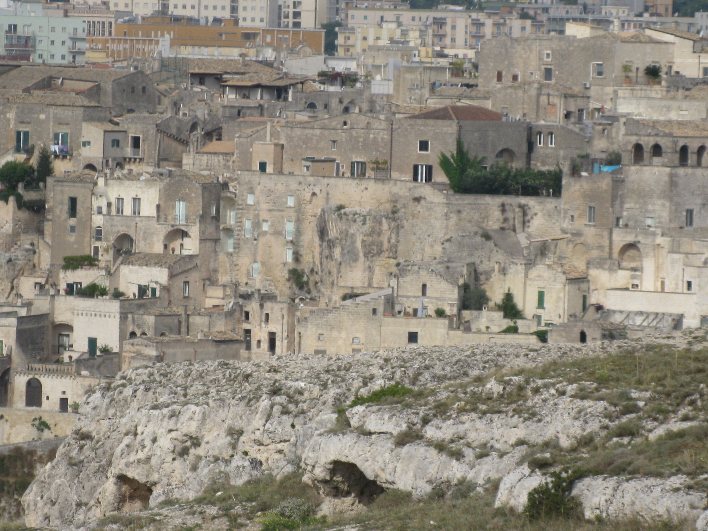 IMG_6747
