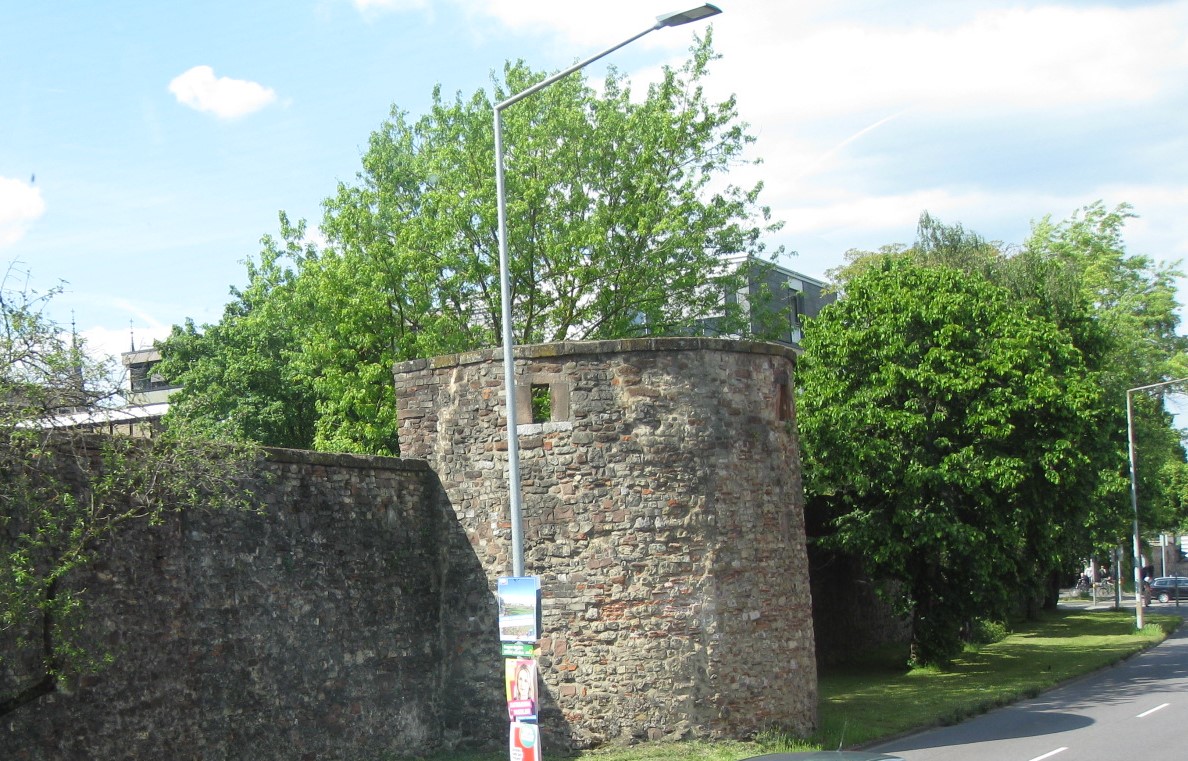 IMG_7102 (2)