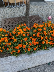 IMG_20190602_203552