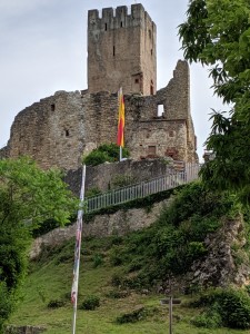 IMG_20190609_092454