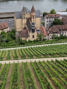 MVIMG_20190615_140543